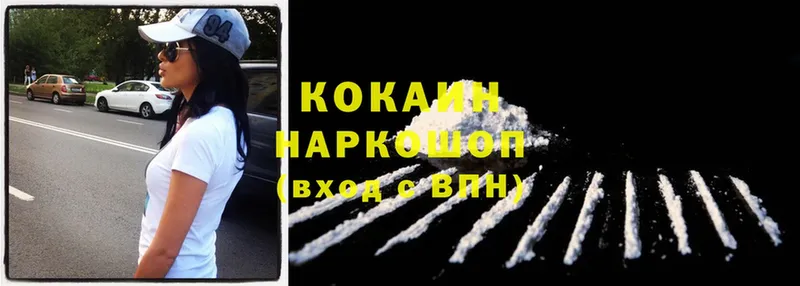 наркота  Кологрив  дарк нет наркотические препараты  Cocaine Fish Scale 