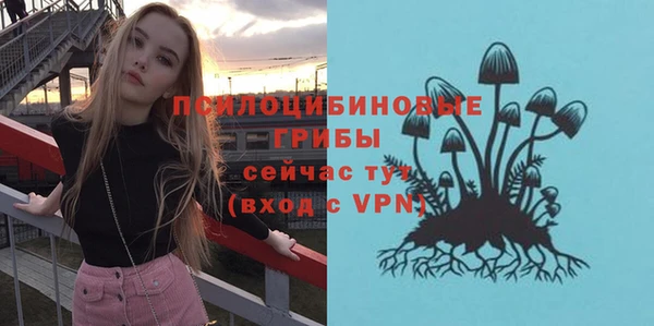 ALPHA-PVP Нязепетровск