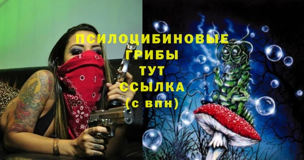 гашиш Няндома