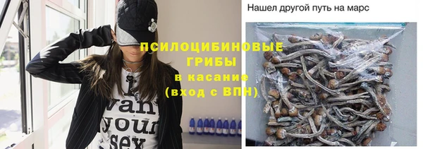 герыч Новодвинск