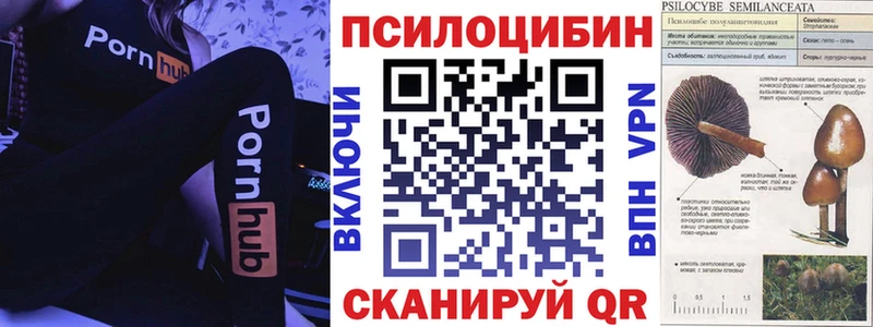 Галлюциногенные грибы MAGIC MUSHROOMS  где продают   Кологрив 